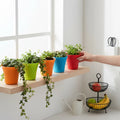 GoHooked Bianco Small Sunshine Flower Pots in multicolor plastic, 5 inch, set of 5. Ideal for indoor/outdoor use.