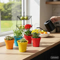 GoHooked Bianco Small Sunshine Flower Pots, pack of 5, 5-inch multicolor plastic planters for indoor/outdoor use.