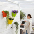 Go Hooked Bianco wall hanging pot set in orange, lime green, yellow, and white, holding various plants.