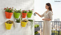 GoHooked Bianco wall hanging pots in assorted colors (orange, green, yellow, white) holding various plants on a brick wall.