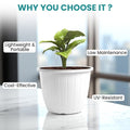 GoHooked Bianco 10-inch white plastic flower pot with vertical ribbed design, ideal for indoor/outdoor gardening.