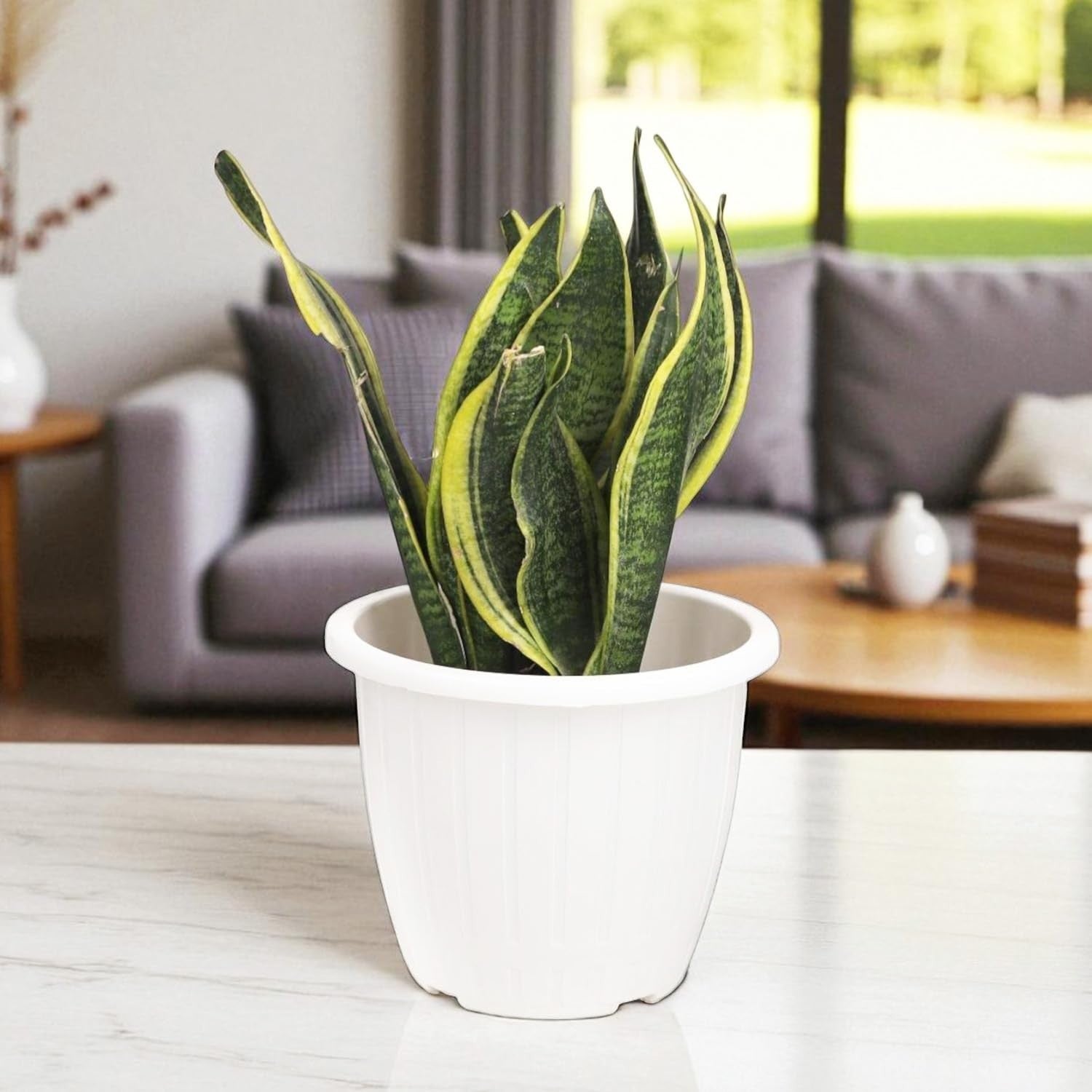GoHooked Bianco white plastic planter pot, 10 inch, 5 pack. Ideal for indoor/outdoor gardening.