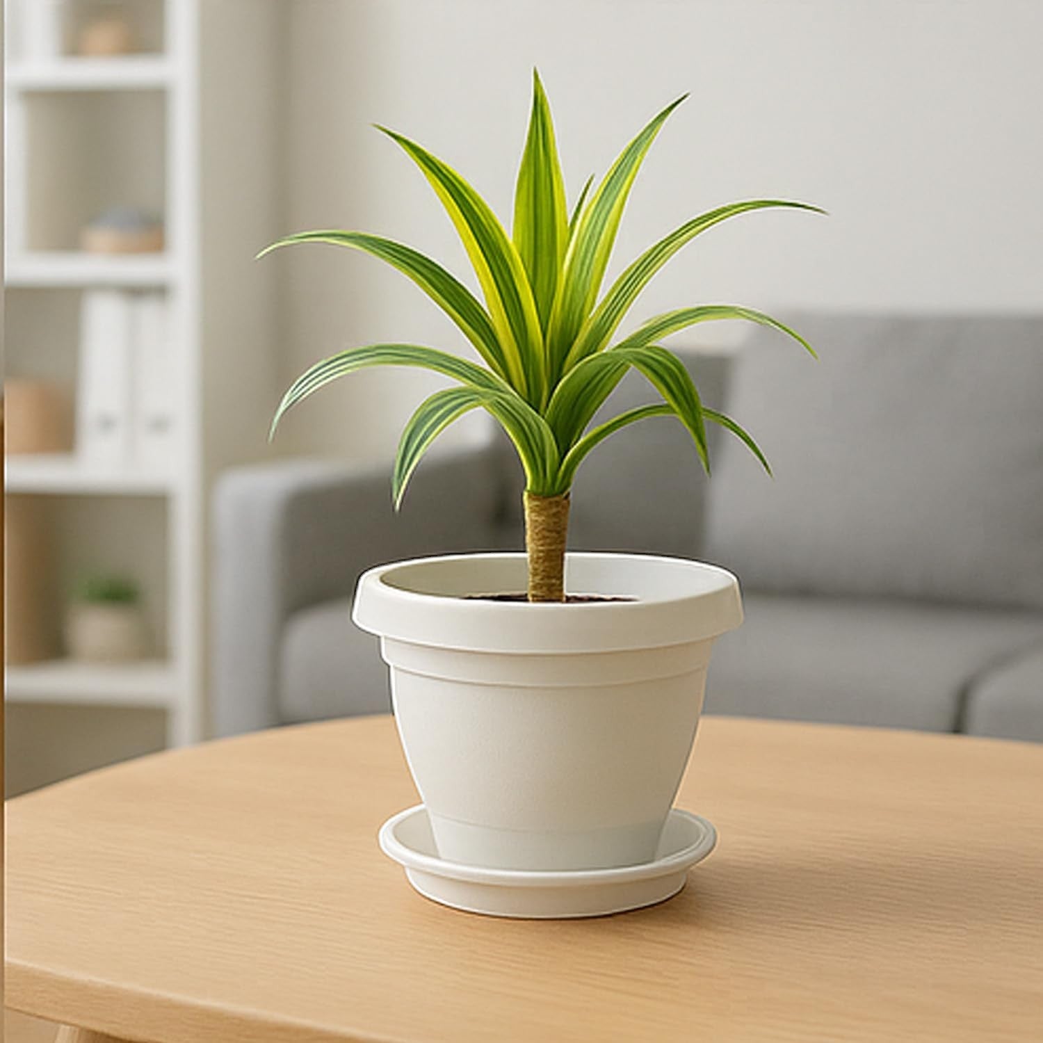 GoHooked Bianco white plastic planter pot with bottom tray, 10 inch, for home decor