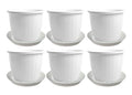 GoHooked Bianco 10-inch white plastic planters with drainage trays, pack of 6. Ideal for indoor/outdoor gardening.