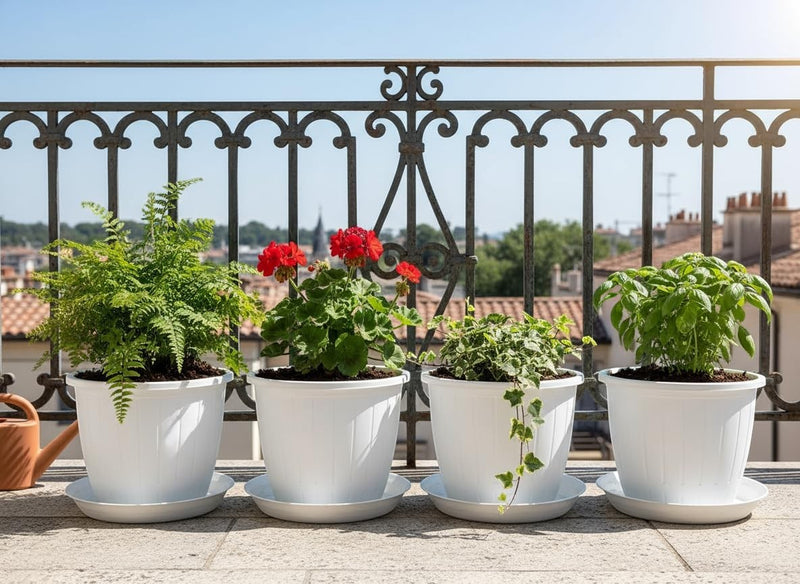 GoHooked Bianco 10-inch white plastic planters with trays, holding ferns, geraniums, ivy, and basil on a balcony.
