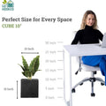 GoHooked 10-inch black cube planter with a plant, perfect for modern indoor and outdoor spaces.