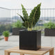 Go Hooked 10 Inch Cube Planter for Plants | Large Polymer Flower Pot for Balcony, Terrace, Home DÃ©cor, Indoor & Outdoor Gardening Balcony Terrace Home DÃ©cor | UV Resistant Durable Planter Pot (Black)