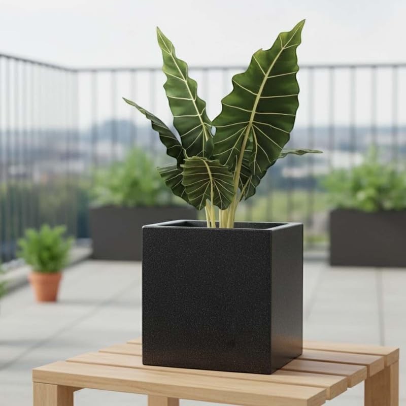 GoHooked black 10-inch cube planter made of UV-resistant polymer with drainage hole. Modern design for indoor/outdoor gardening.