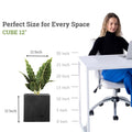 Go Hooked 12-inch black polymer cube planter with a plant, perfect for modern home or office decor.