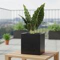 GoHooked 10-inch black cube planter with a modern design, perfect for indoor or outdoor use.