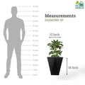 GoHooked black diamond planter, 18 inch height, 12 inch width, shown with a plant and a height scale.