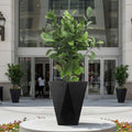GoHooked black diamond-shaped planter with a large green plant, perfect for modern decor.