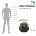 GoHooked black polymer lotus bowl planter, 25 inches wide and 11 inches tall, with drainage option. Shown with artificial plants.