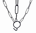 GoHooked black metal hanging chain for plants, bird feeders, or decor. 12-inch length.