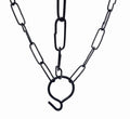Go Hooked black metal hanging chain with hook for planters. Ideal for garden, balcony, or home decor.
