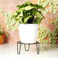 Go Hooked black metal plant pot stand, 8-inch diameter, holds up to 35kg. Ideal for indoor/outdoor use.
