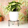 GoHooked black metal plant stand for indoor or balcony use, holds up to 50kg.