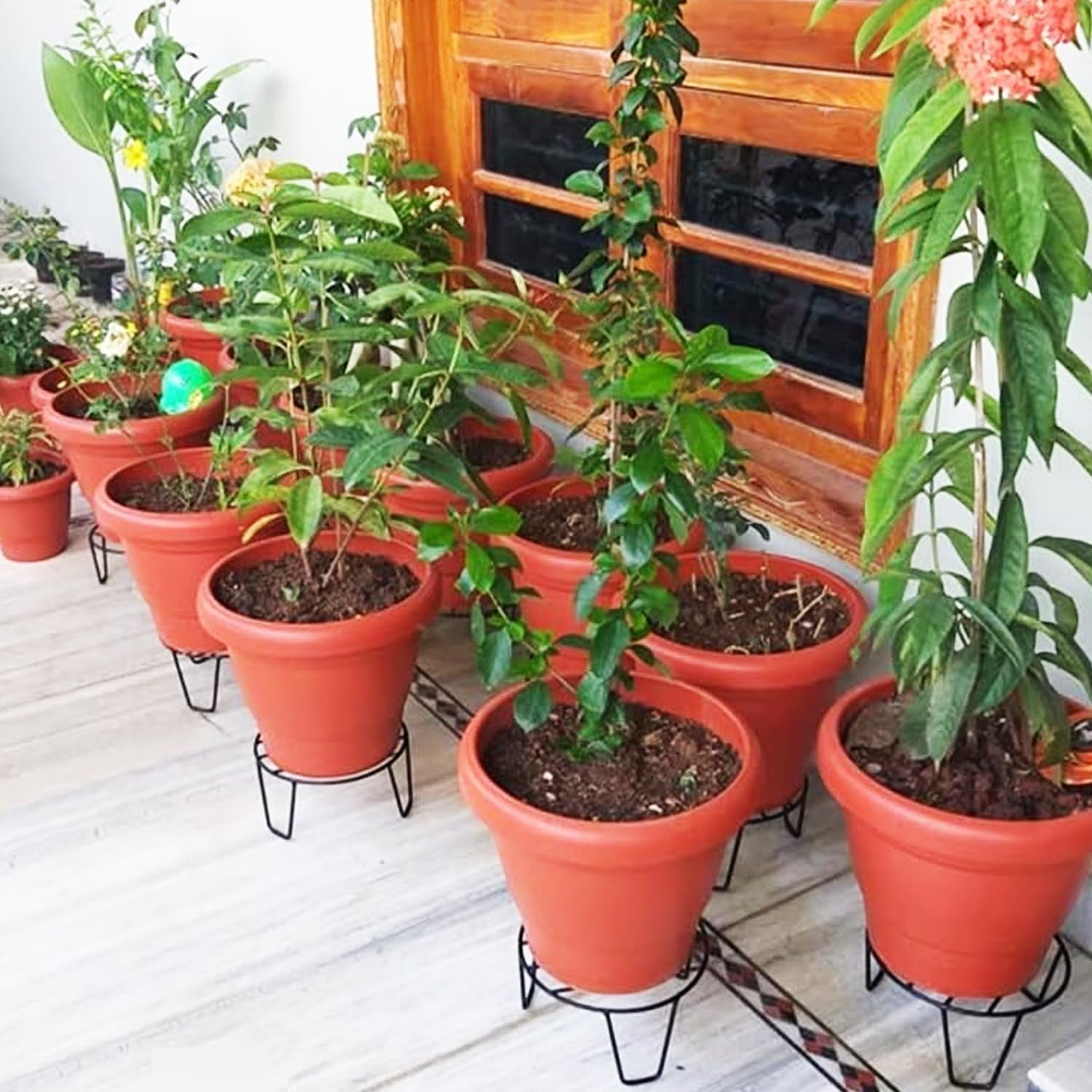 Go Hooked black metal plant stands holding terracotta pots on a tiled balcony.