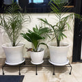 GoHooked black metal rectangular plant stand holding three potted plants indoors.