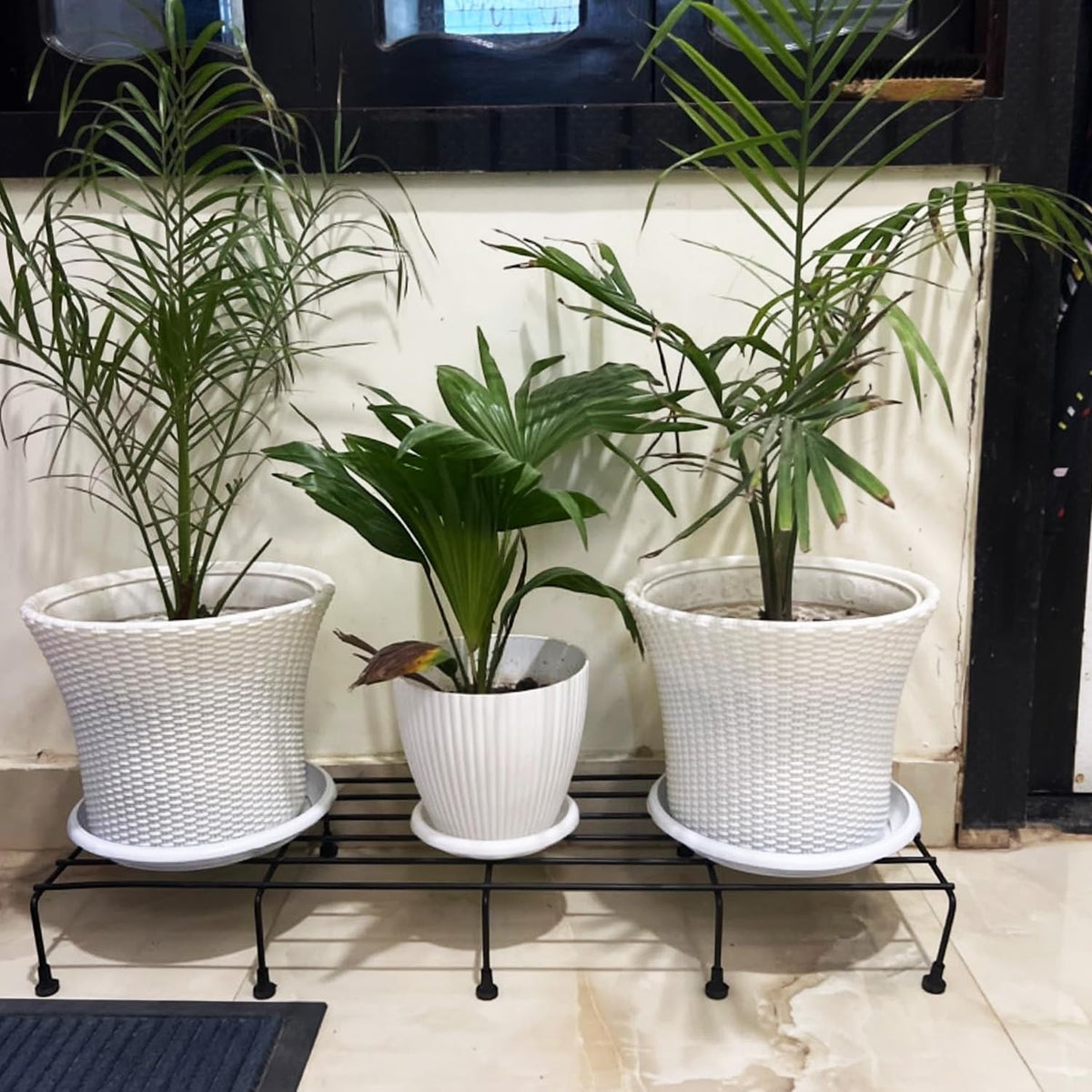 GoHooked black metal rectangular plant stand holding three potted plants indoors.