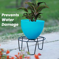 GoHooked black metal plant pot stand holding a blue pot with a plant. Prevents water damage.