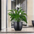 Go Hooked black 10-inch polymer planter with a sleek, modern design and built-in drainage. Perfect for indoor or outdoor use.