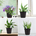 GoHooked 21 black plastic plant pots with drainage holes, suitable for indoor/outdoor seedlings and plants.