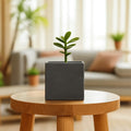 GoHooked 8-inch modern black polymer cube planter with a small green plant inside, perfect for home or office decor.