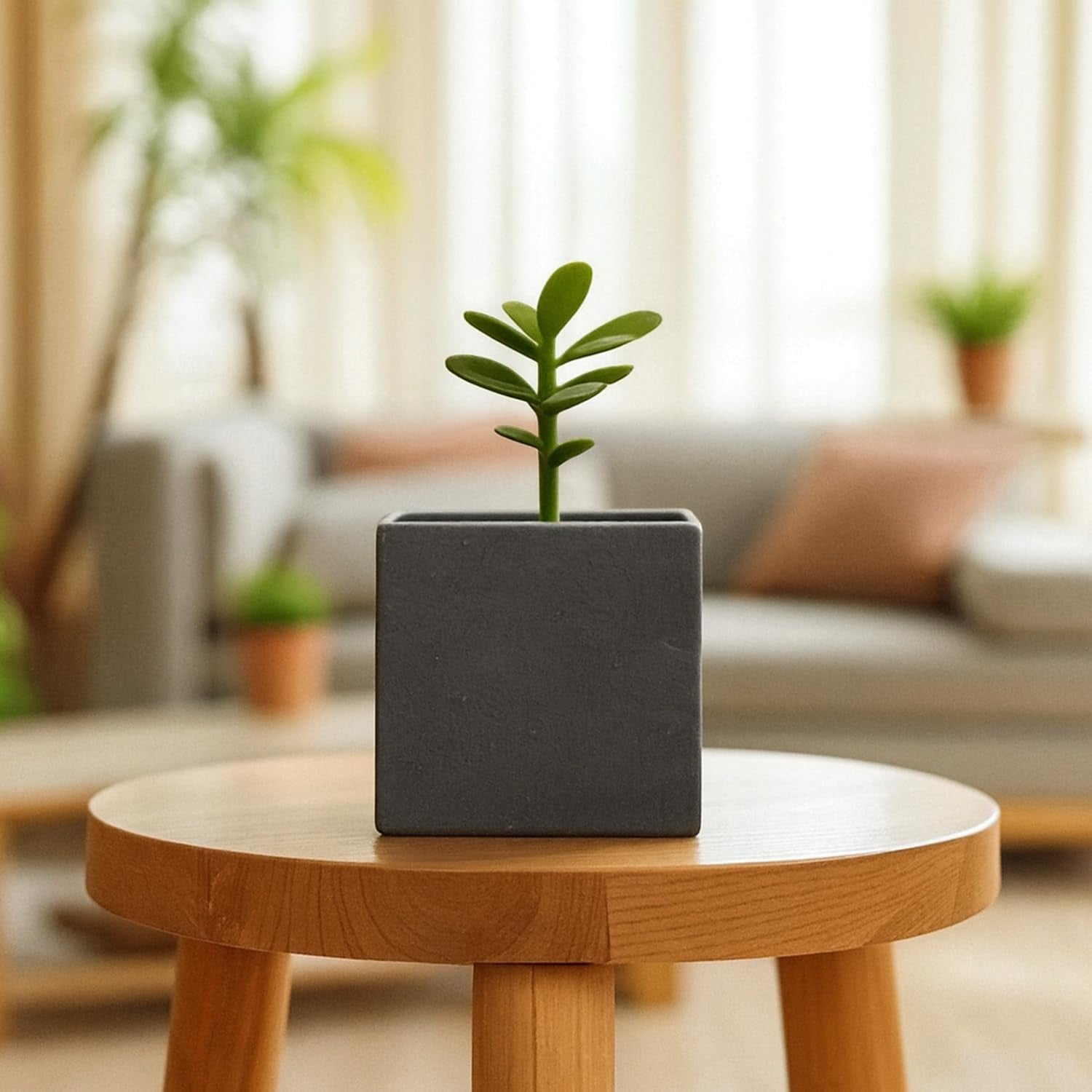 GoHooked 8-inch modern black polymer cube planter with a small green plant inside, perfect for home or office decor.