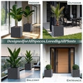 GoHooked 8-inch modern black polymer cube planter for indoor/outdoor use. Versatile square pot for home, office, balcony.
