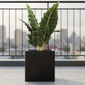 Go Hooked 15-inch black speckled polymer cube planter with a large green plant on a balcony.