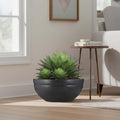 GoHooked black polymer lotus bowl planter with drainage, holding a green succulent plant indoors.