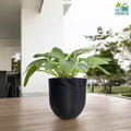 Go Hooked 12 inch black polymer plant pot with ribbed texture, holding a lush green plant on a wooden deck.