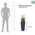 GoHooked black 24-inch tall, 12-inch wide polymer planter with a textured finish and a plant. Scale diagram shows height comparison to a person.