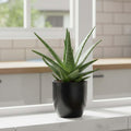 GoHooked black polymer round planter with aloe vera plant on a white windowsill.