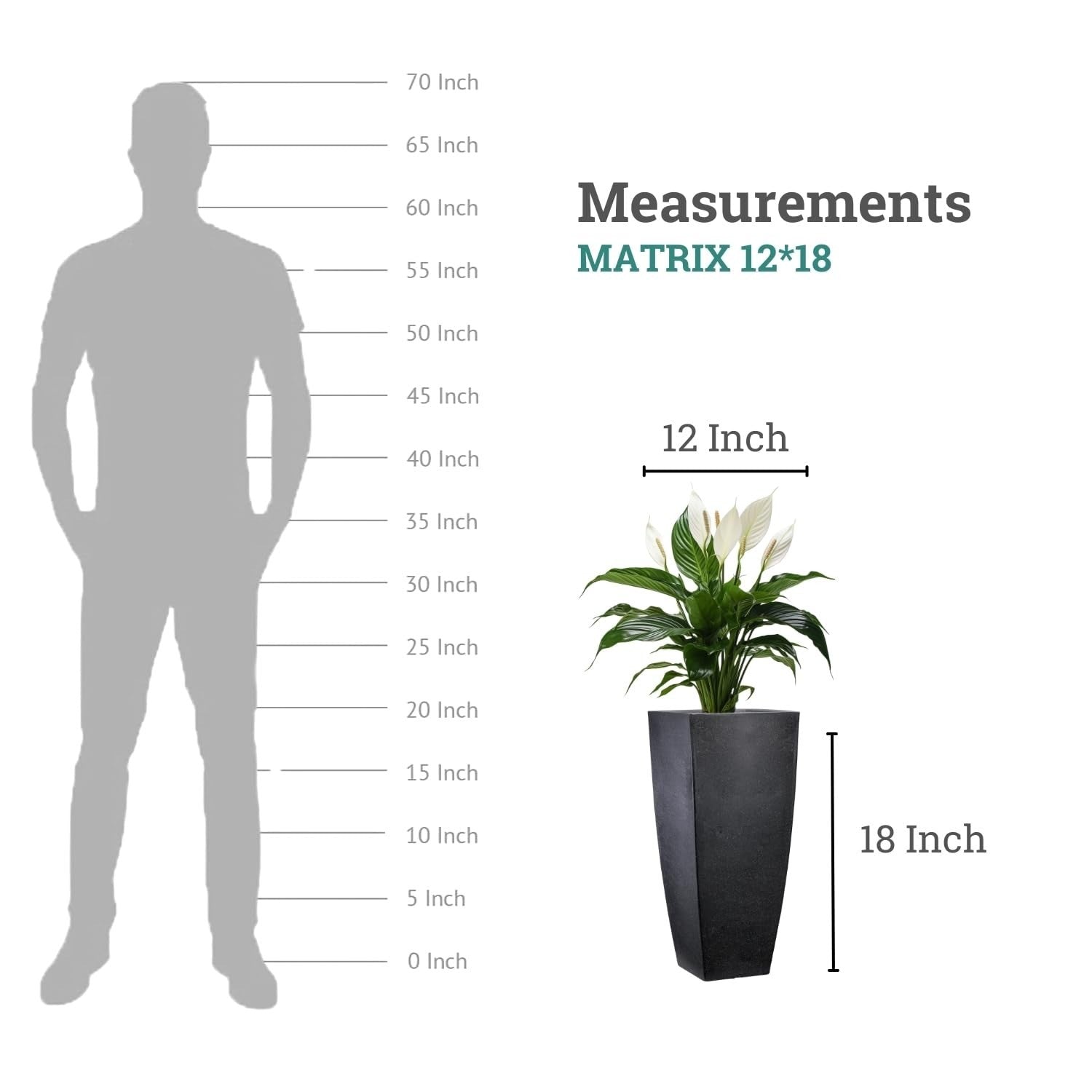 GoHooked black polymer Matrix planter, 12x18 inches, square shape, with a peace lily plant. Scale graphic shows planter height.