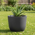 Go Hooked 17-inch black polymer round planter with aloe vera plant, perfect for modern home or office decor.