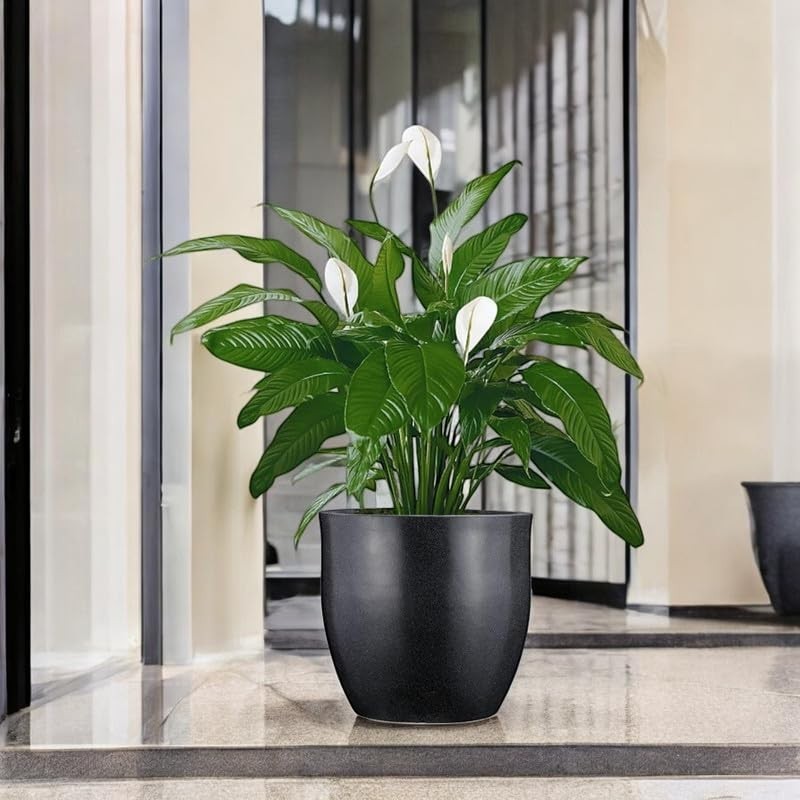 GoHooked 15-inch black polymer planter pot with a peace lily plant. Modern round design with drainage.