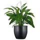 Go Hooked Pluto Black Indoor Planter Pot 17 Inch | Lightweight Modern Round Plant Pot for Living Room, Balcony & Office | Decorative Polymer Pot for Live & Artificial Plants