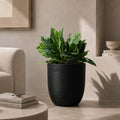 Go Hooked 12-inch black polymer planter pot with a textured ribbed design and speckled finish, holding a lush green plant.