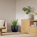 GoHooked Pluto 24-inch black polymer planter pot with a snake plant, modern round design for living rooms.
