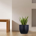 GoHooked Pluto 24-inch black polymer planter pot with a snake plant, modern round design, lightweight and durable.