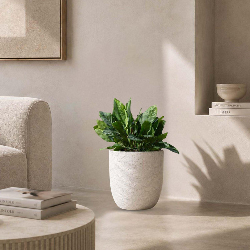 Go Hooked 18-inch black textured polymer planter pot with a modern, rounded shape, perfect for indoor or outdoor plants.