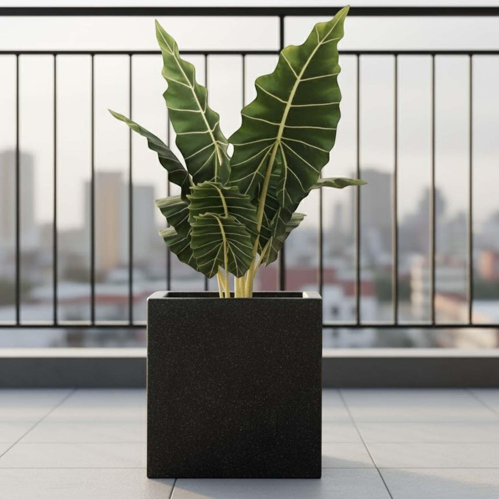 Go Hooked 12-inch black speckled cube planter made of durable polymer with a modern design. Features a built-in drainage hole.