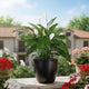 Go Hooked Home Decor Planter 12 Inch for Home & Office | Modern Indoor Planter for Living Room, Bedroom & Balcony | Decorative Planter Perfect for Artificial & Live Plants (Pluto Pot, Black)