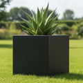 GoHooked 15-inch black modern square polymer planter with a textured finish, holding a succulent plant outdoors on grass.