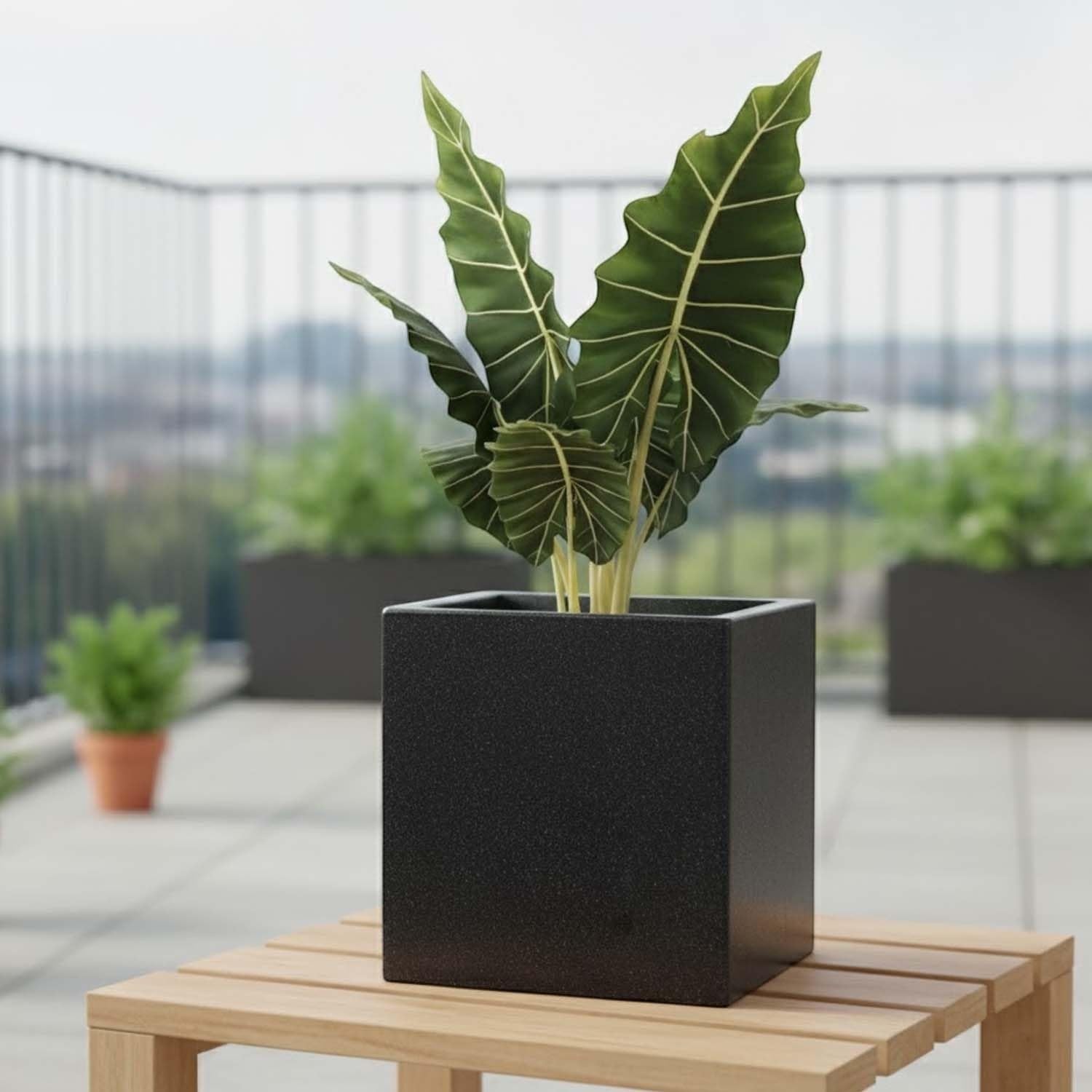GoHooked 8-inch modern square black polymer planter pot with a large green plant on a wooden table.