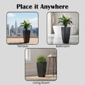 GoHooked black square polymer planter with textured finish, shown on a terrace, in a bathroom, and in a living room.