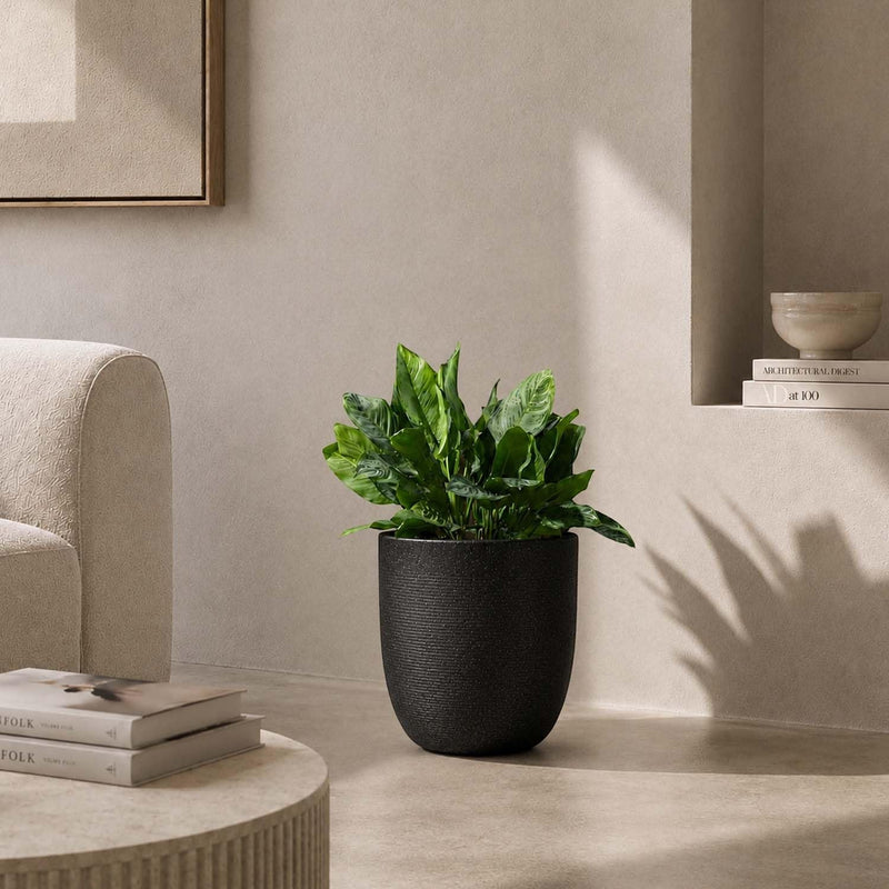 Go Hooked 12-inch black textured polymer planter pot with a green plant inside, perfect for indoor or outdoor use.