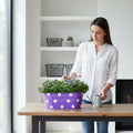 GoHooked blue oval metal planter with white polka dots, holding purple flowers. Woman watering plant.